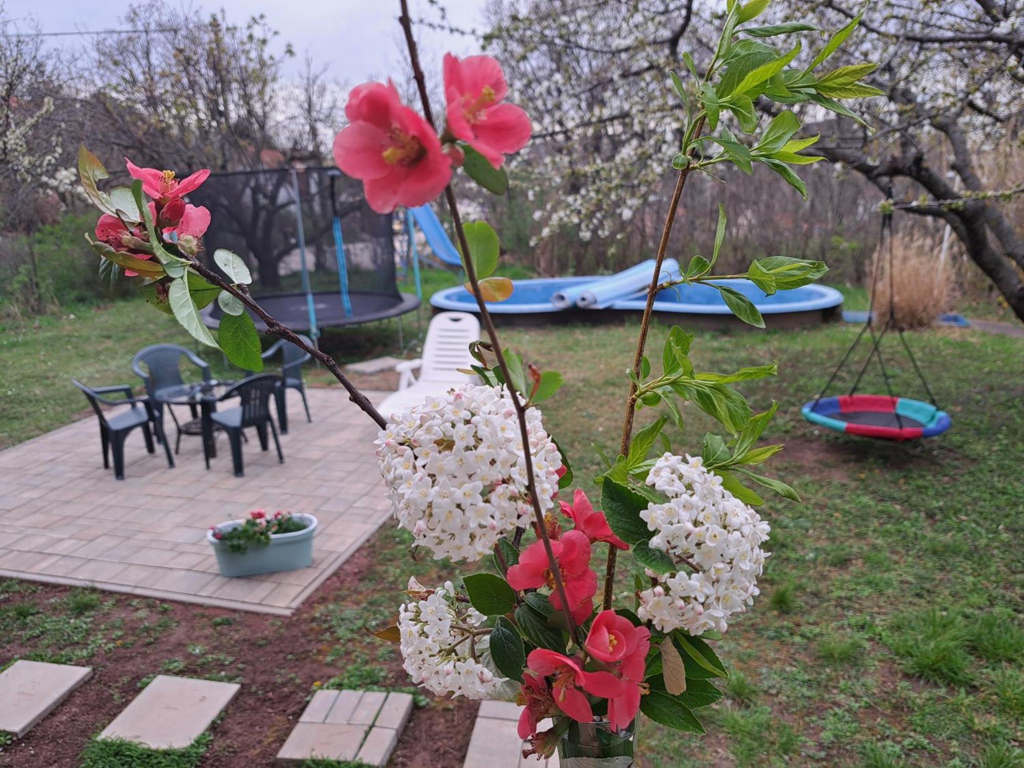 Malibu Apartment Balaton North Balatonalmádi Zewnętrze zdjęcie